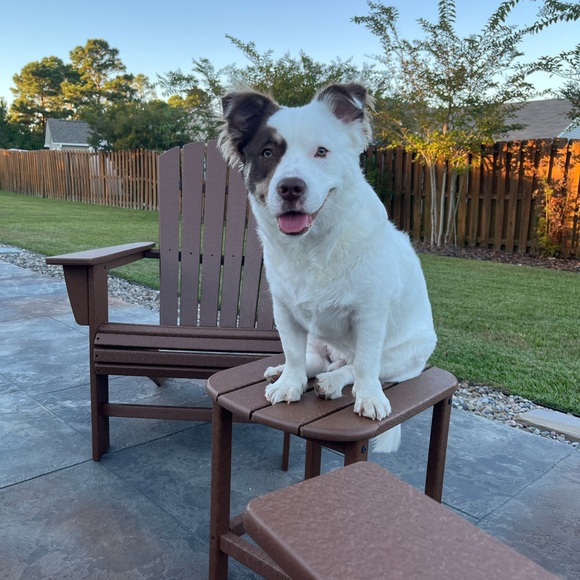 PLEASE READ - Picture 7 of 7